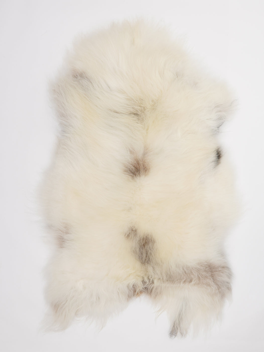 Islandiškas avikailis XL