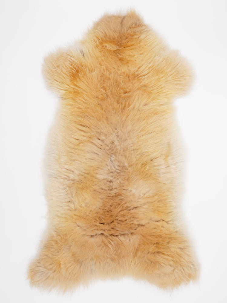 Įvairiaspalvis avikailis XXL