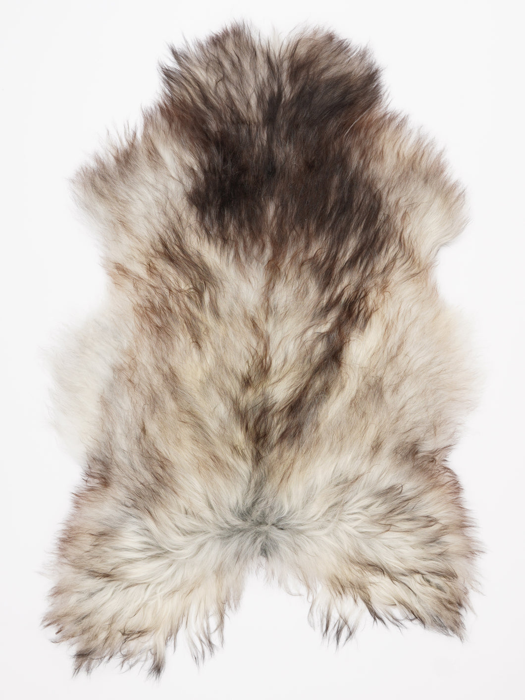 Pilkas islandiškas avikailis L