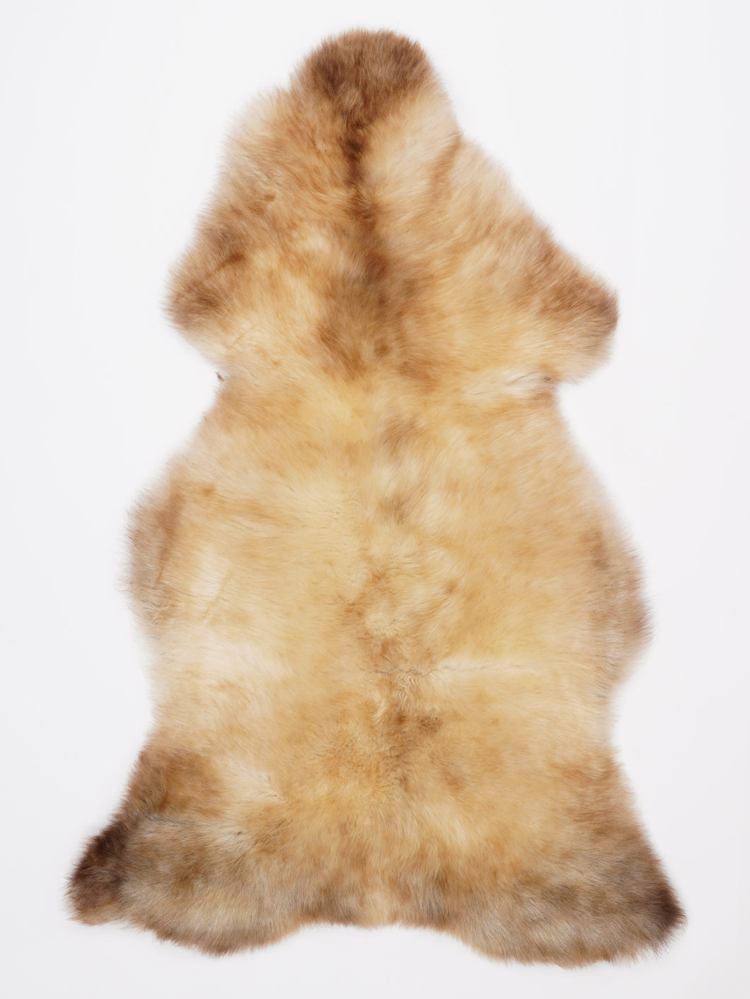 Įvairiaspalvis avikailis XL