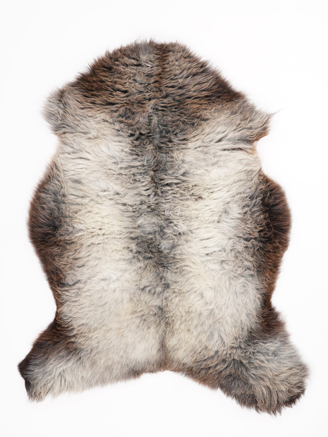 Įvairiaspalvis avikailis L