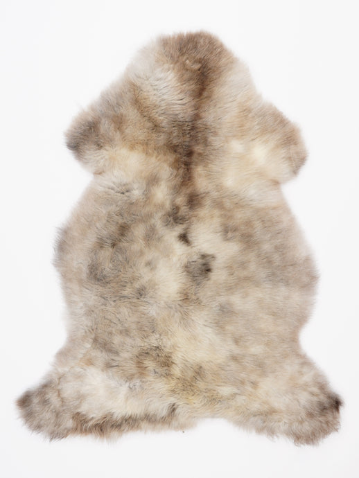 Įvairiaspalvis avikailis L