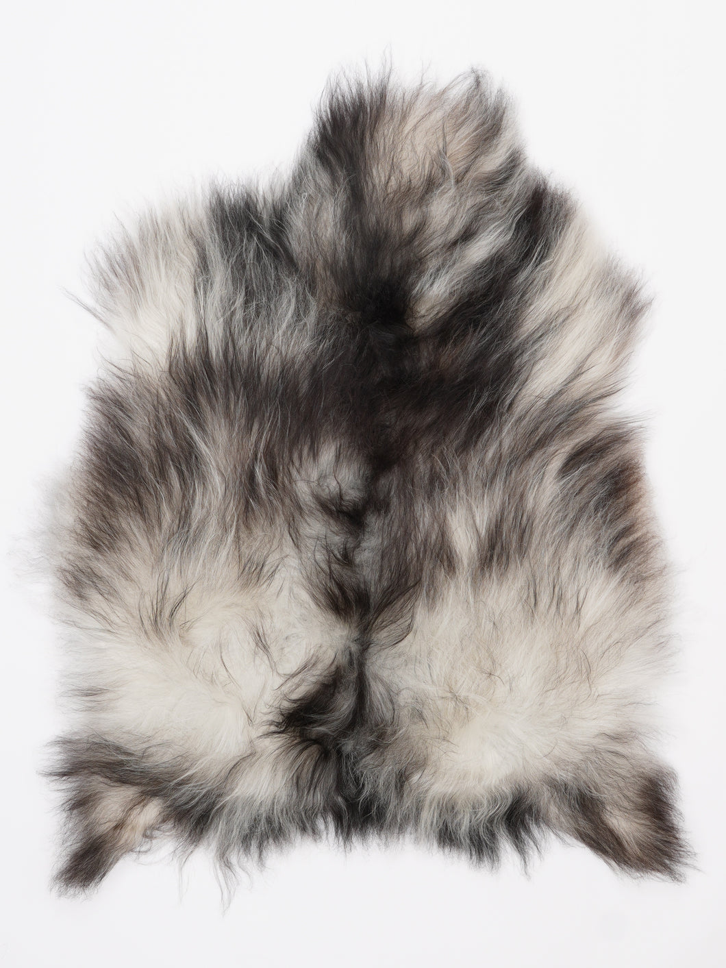 Islandiškas avikailis S