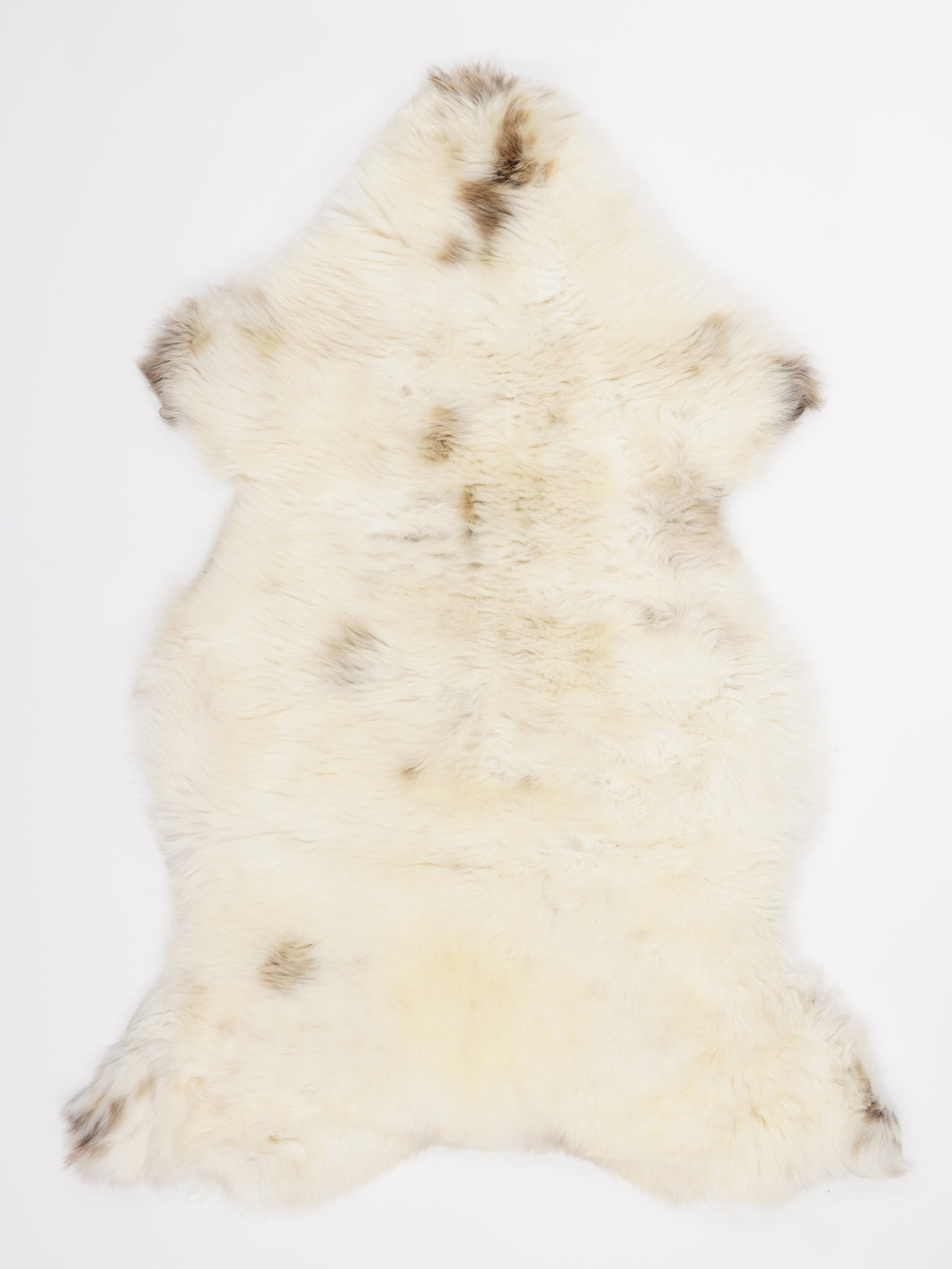 Įvairiaspalvis avikailis XL