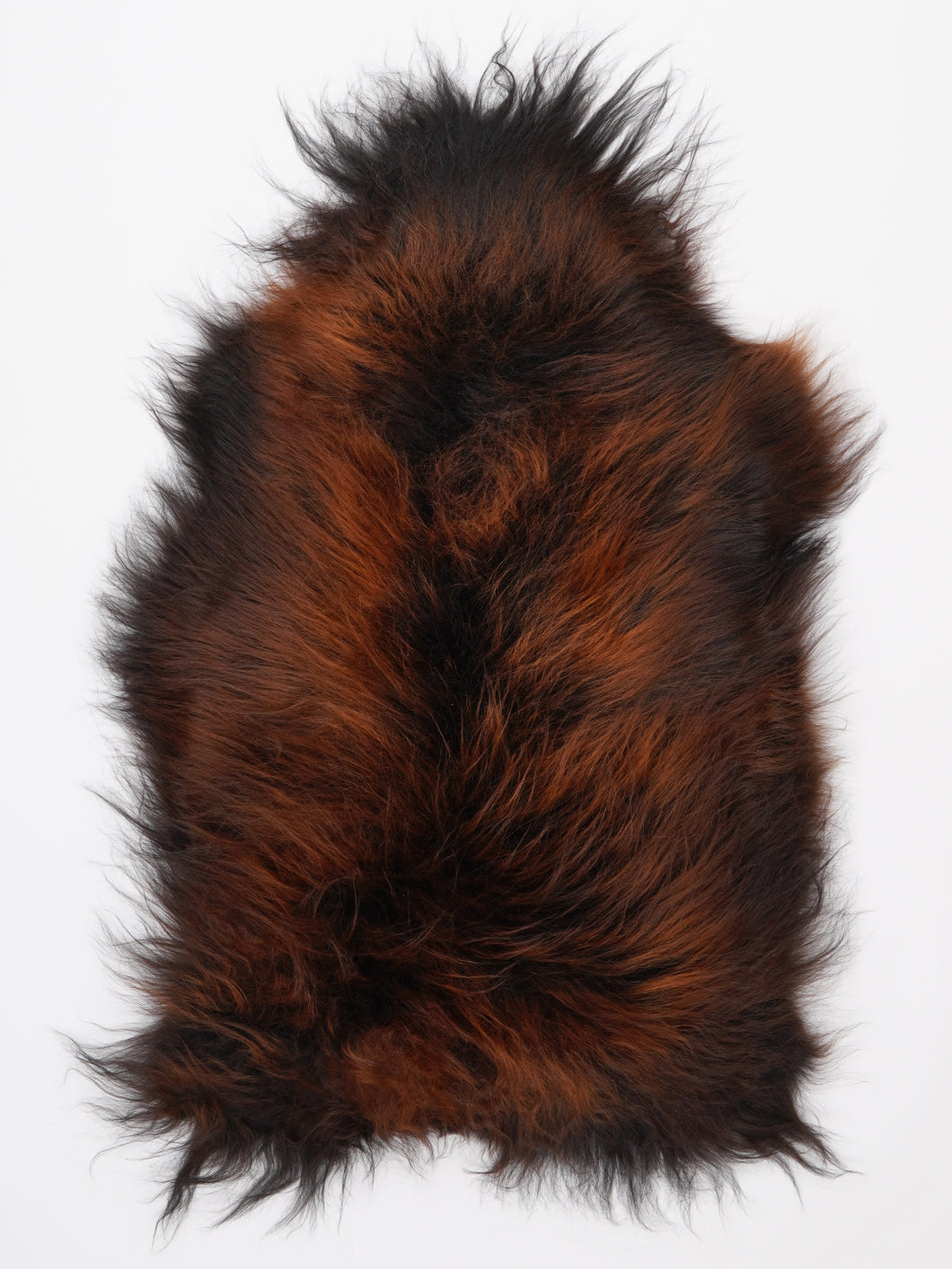 Islandiškas avikailis M