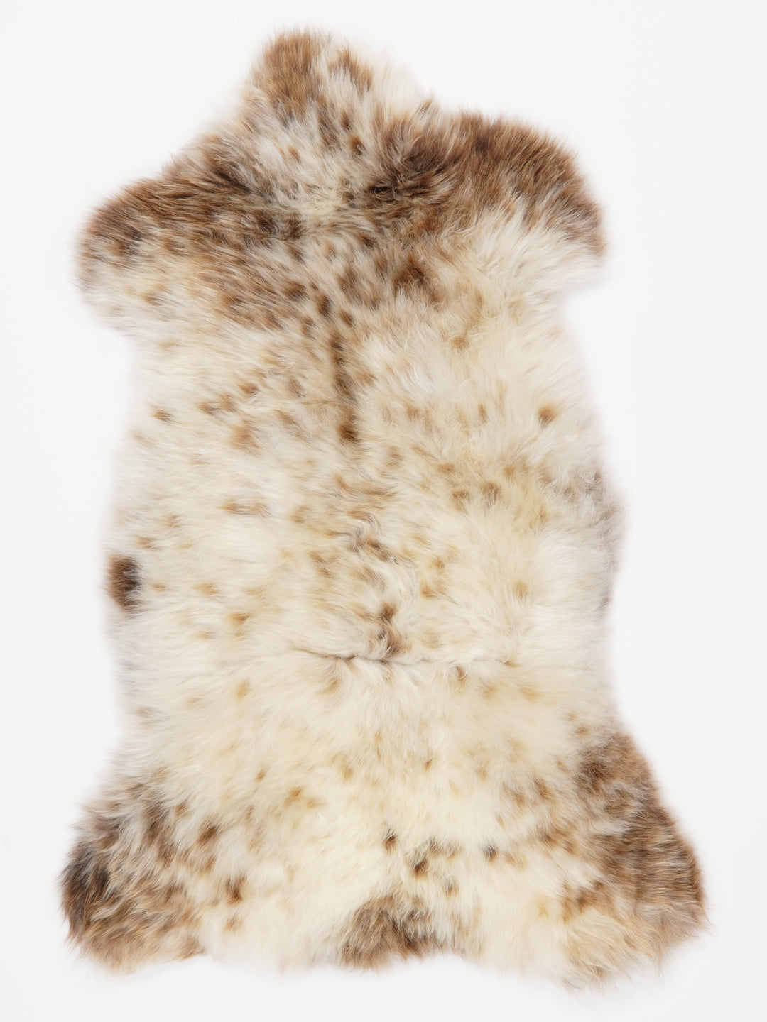 Įvairiaspalvis avikailis M