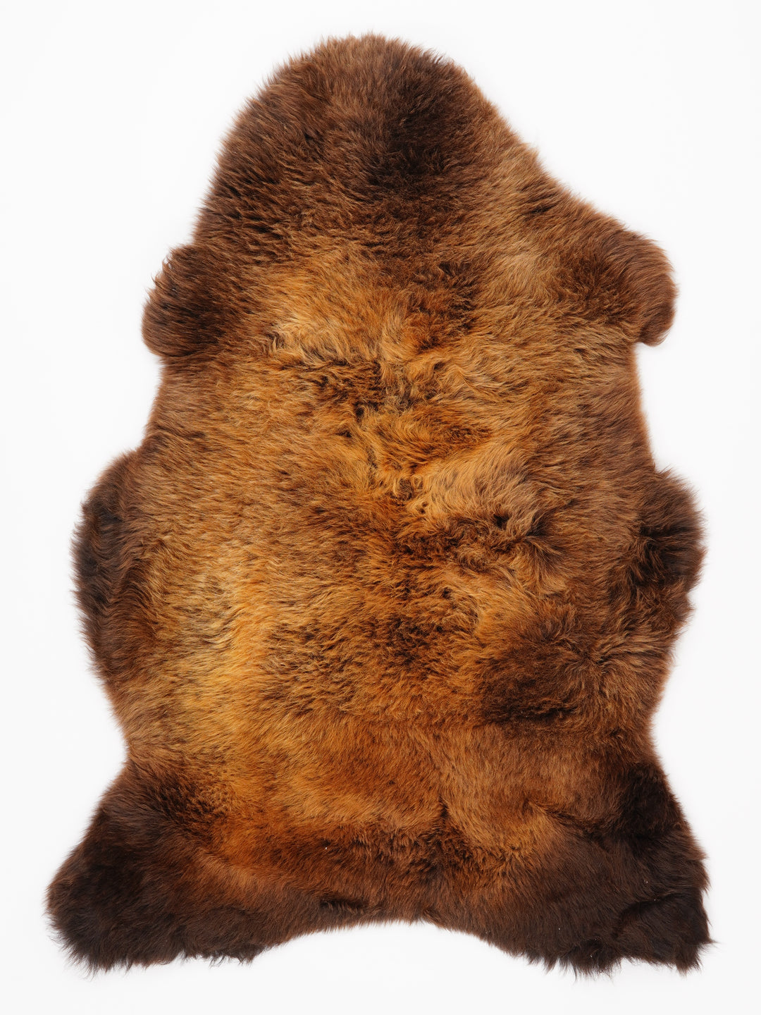 "Rusty" Įvairiaspalvis avikailis L