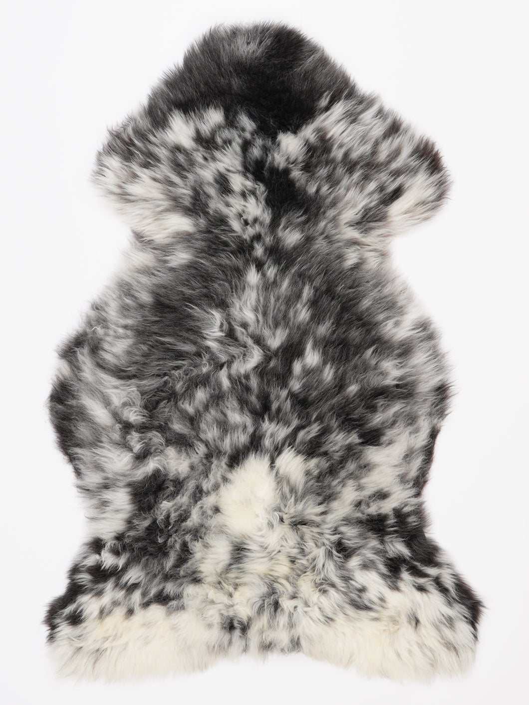 Įvairiaspalvis avikailis XL