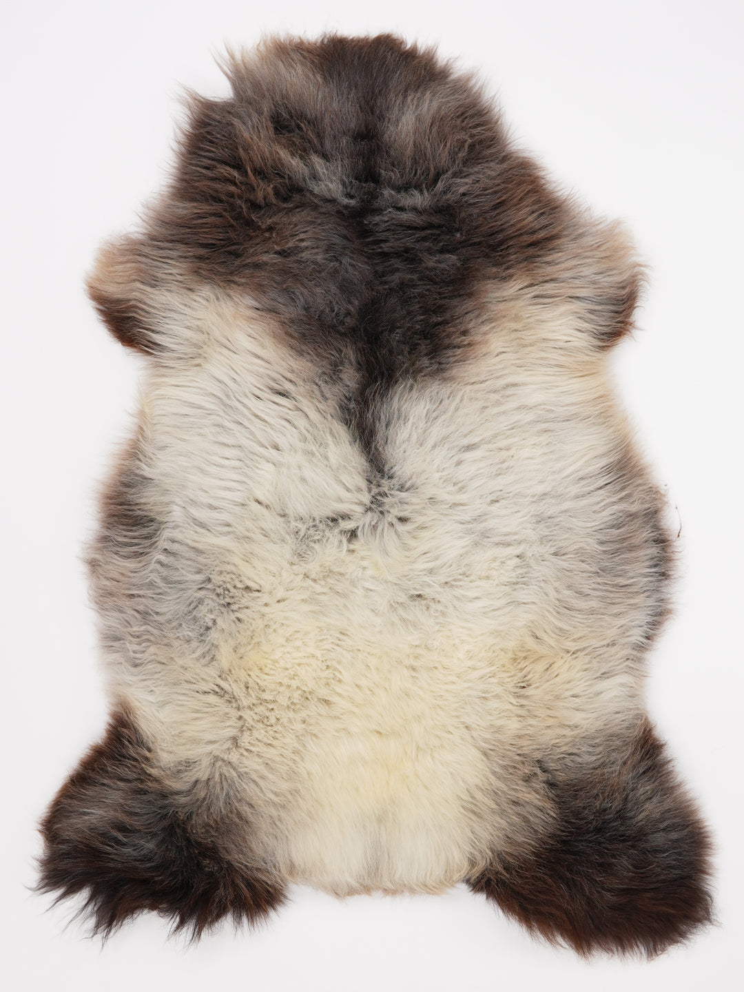 Įvairiaspalvis avikailis L
