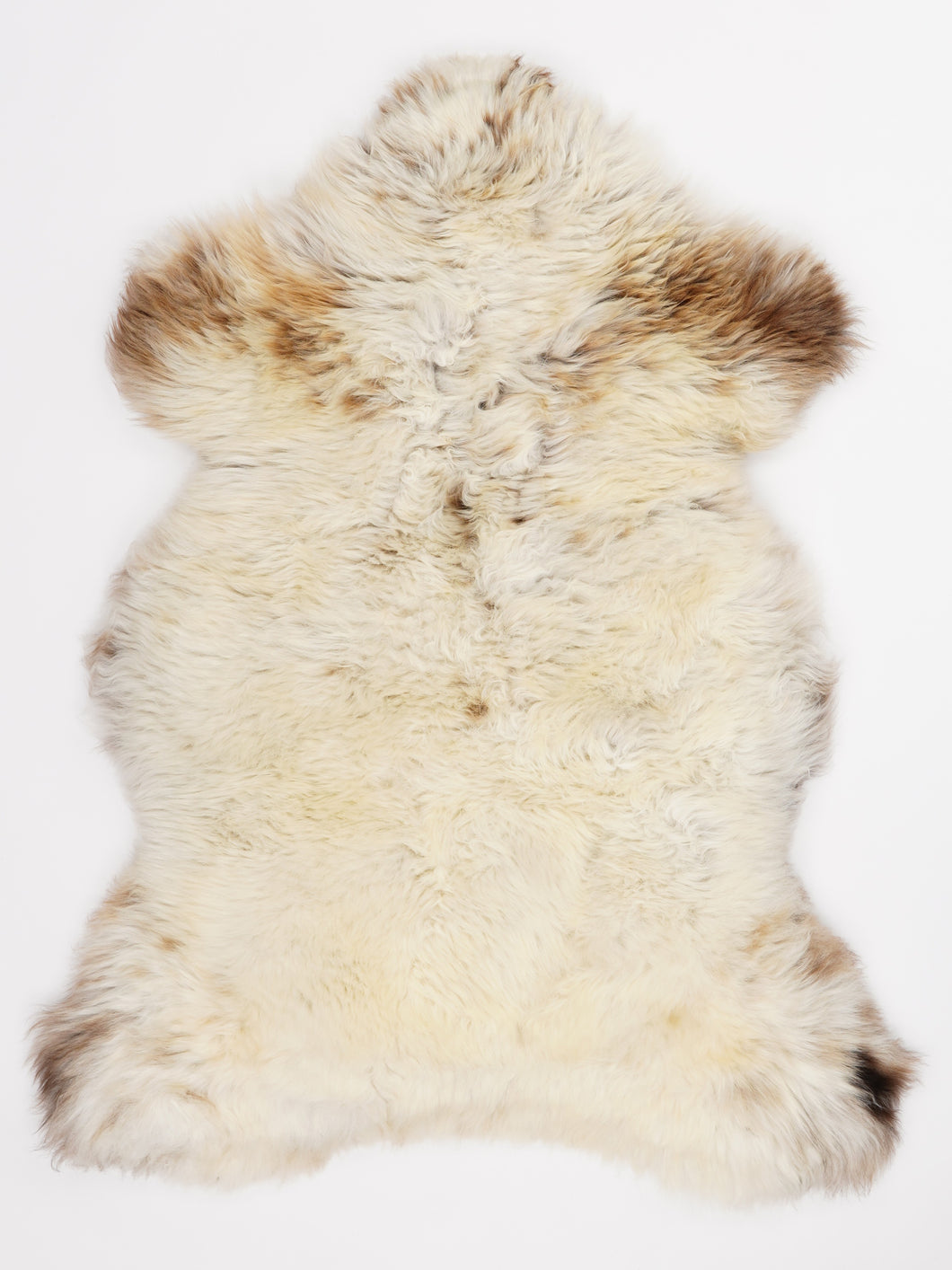 Įvairiaspalvis avikailis L