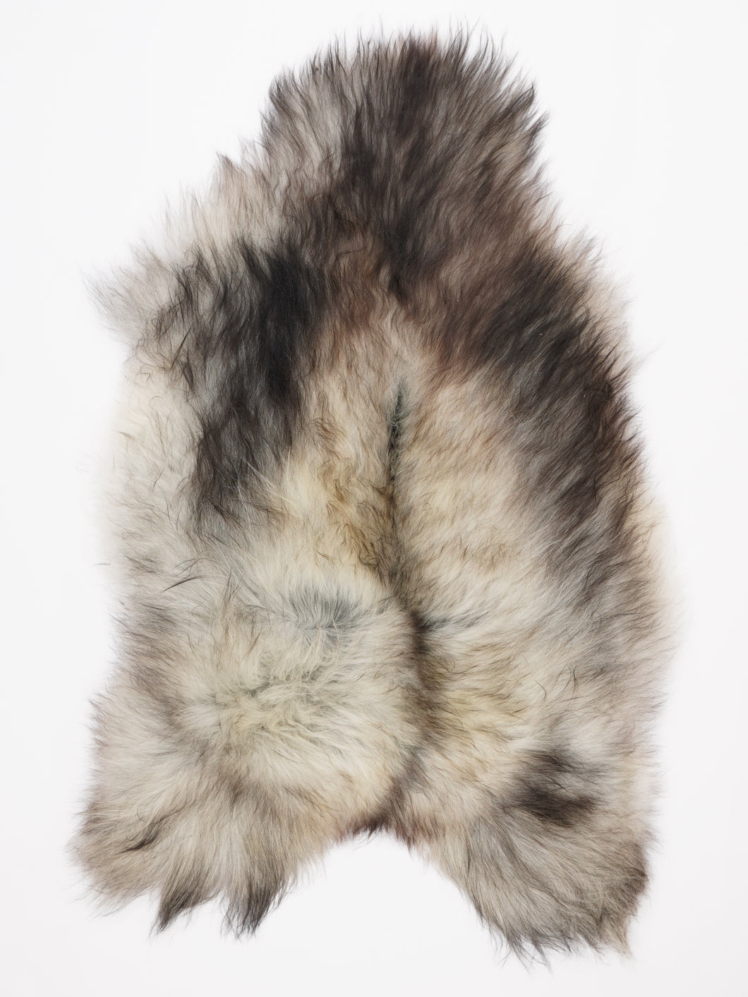 Pilkas islandiškas avikailis XL