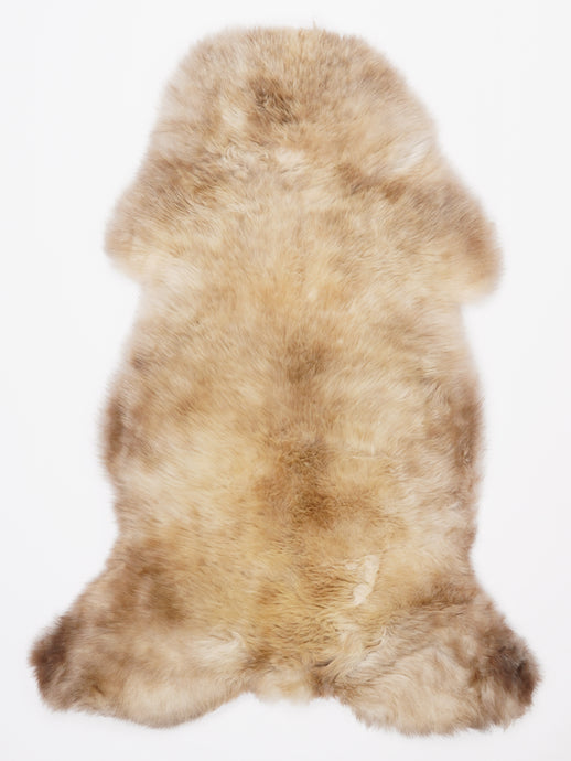 Įvairiaspalvis avikailis L