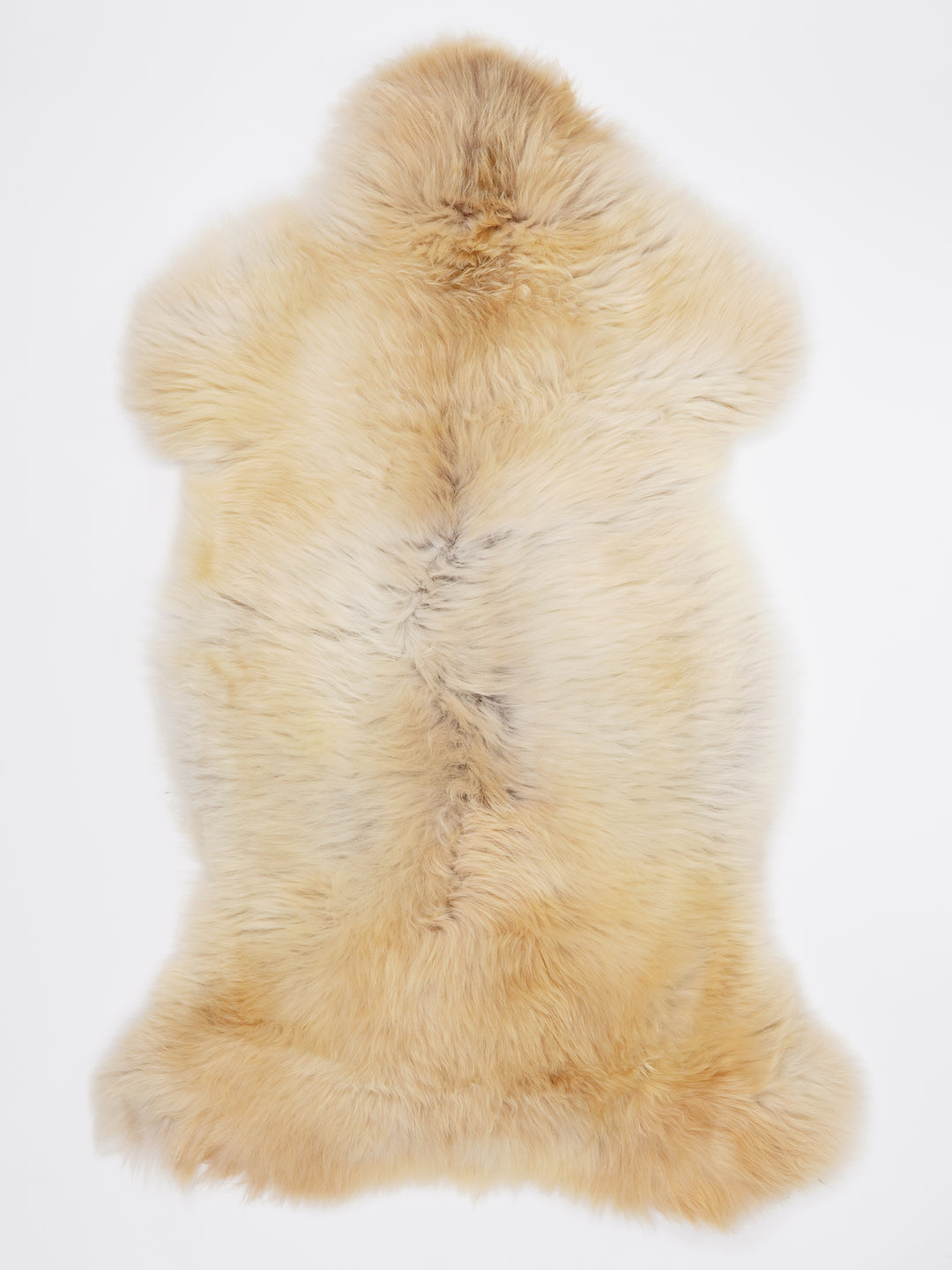 Įvairiaspalvis avikailis XL