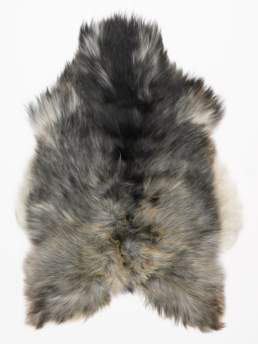 Islandiškas avikailis L