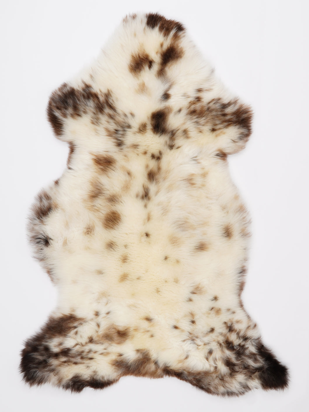 Įvairiaspalvis avikailis L