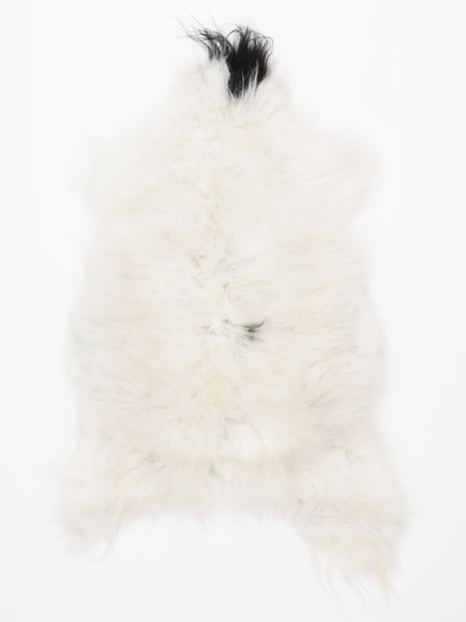 Islandiškas avikailis M