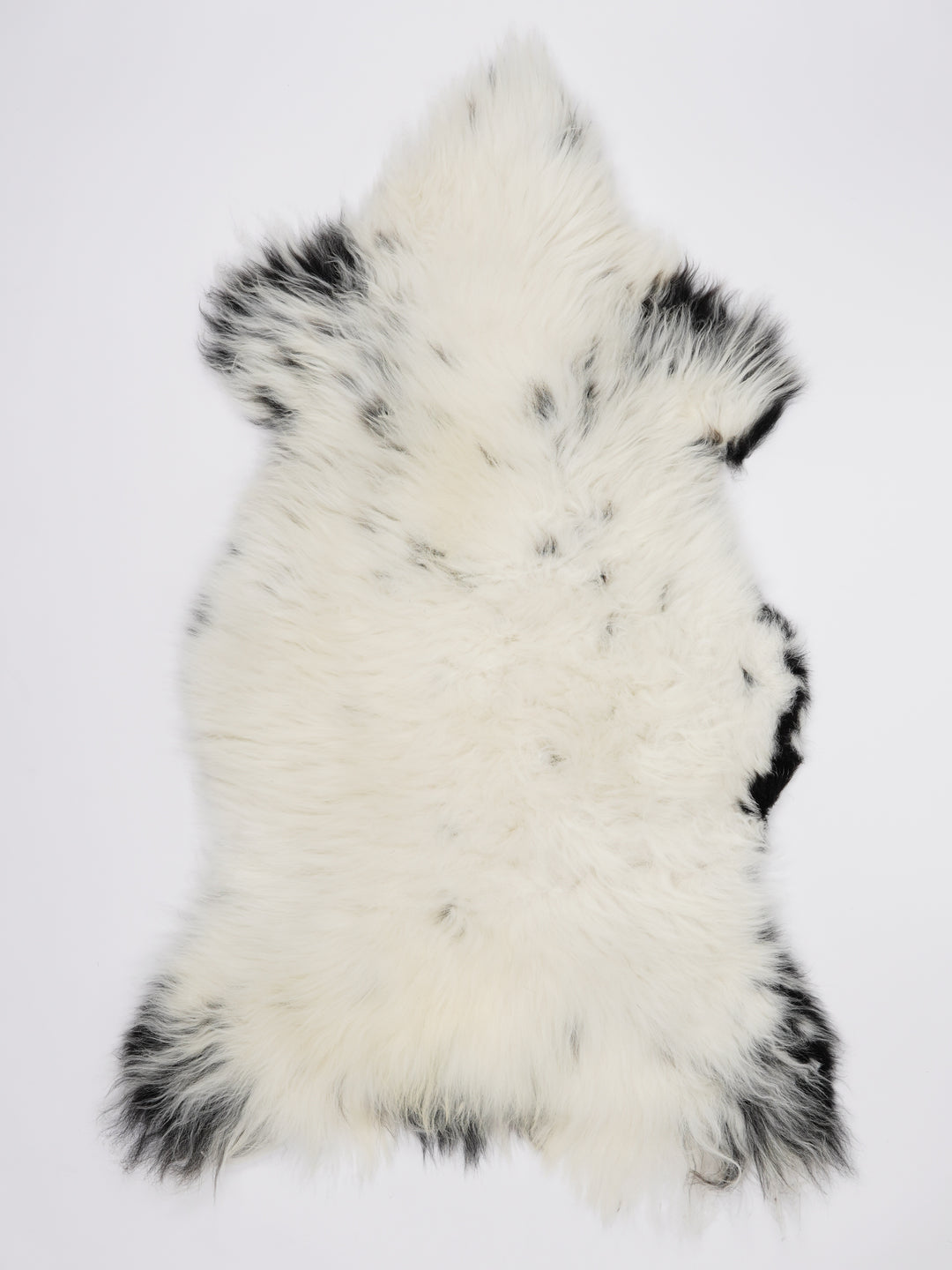 Įvairiaspalvis avikailis XL