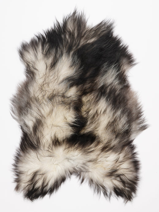 Pilkas islandiškas avikailis L