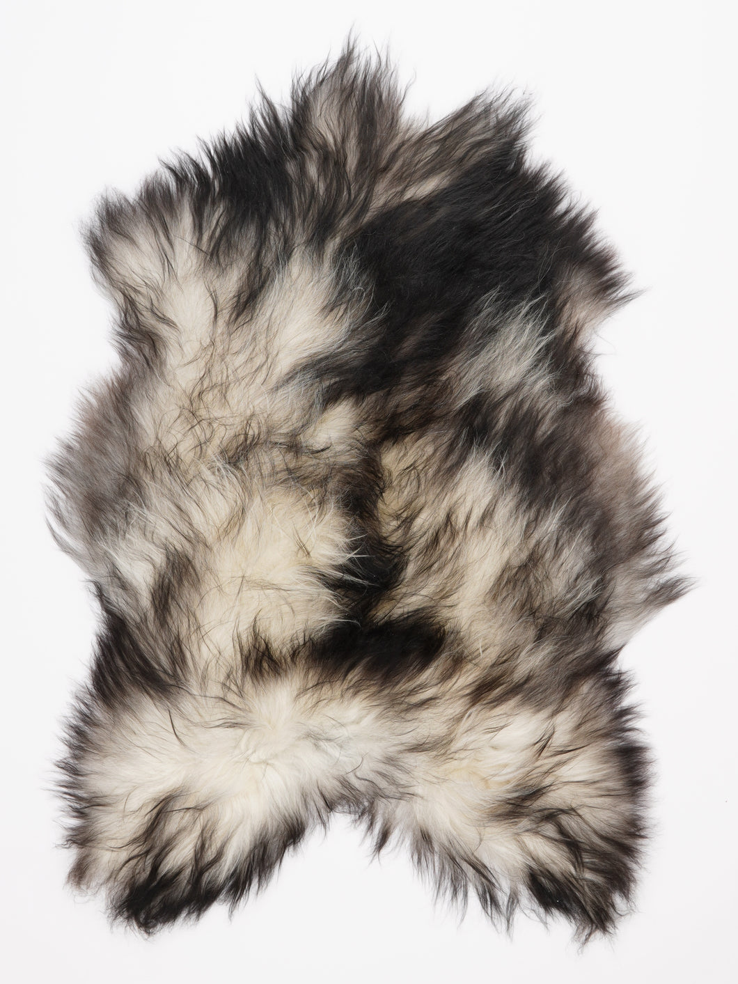 Pilkas islandiškas avikailis L