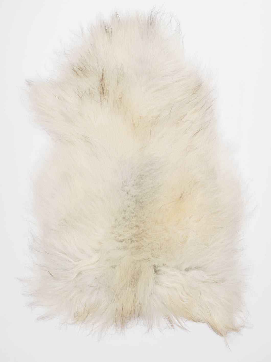 Islandiškas avikailis L