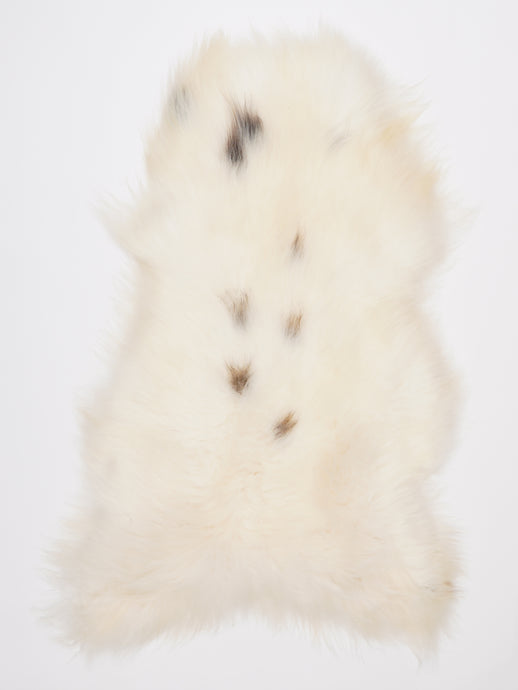 Islandiškas avikailis XL