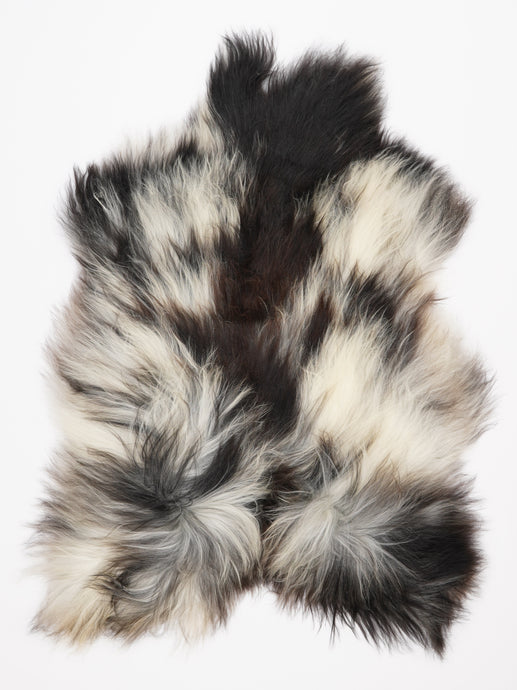 Islandiškas avikailis XL