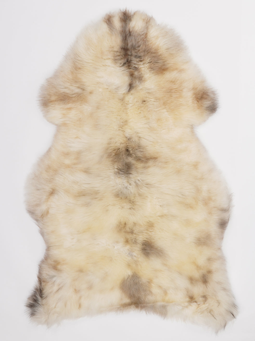 Įvairiaspalvis avikailis L