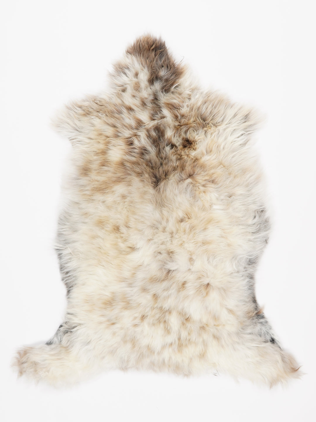 Įvairiaspalvis avikailis M