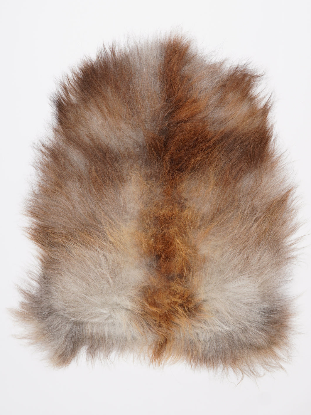 Islandiškas avikailis M