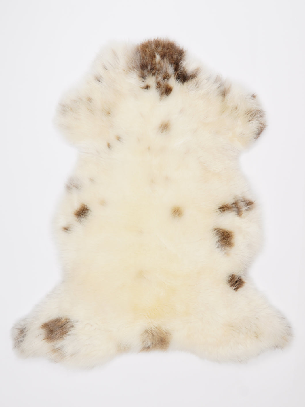 Įvairiaspalvis avikailis L