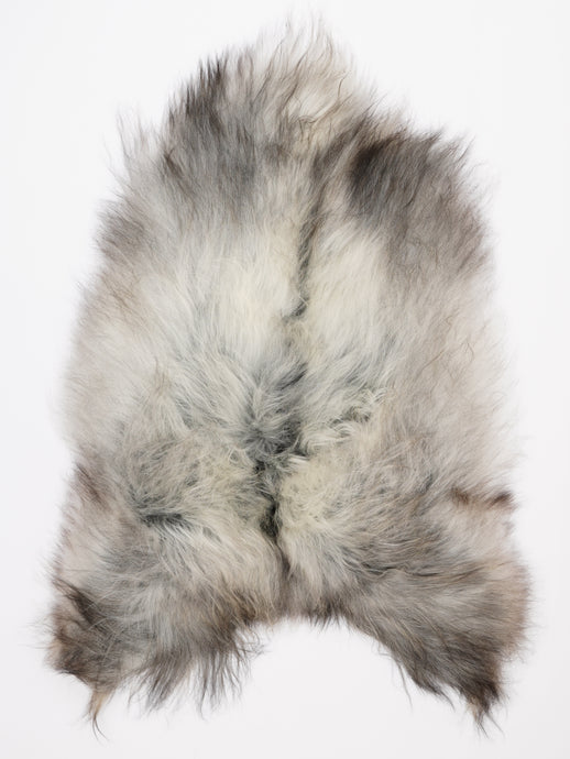 Islandiškas avikailis XL