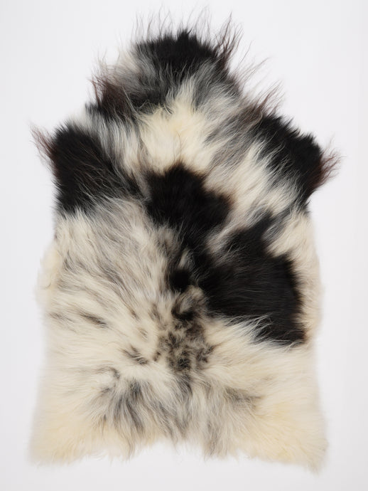 Islandiškas avikailis XXXL