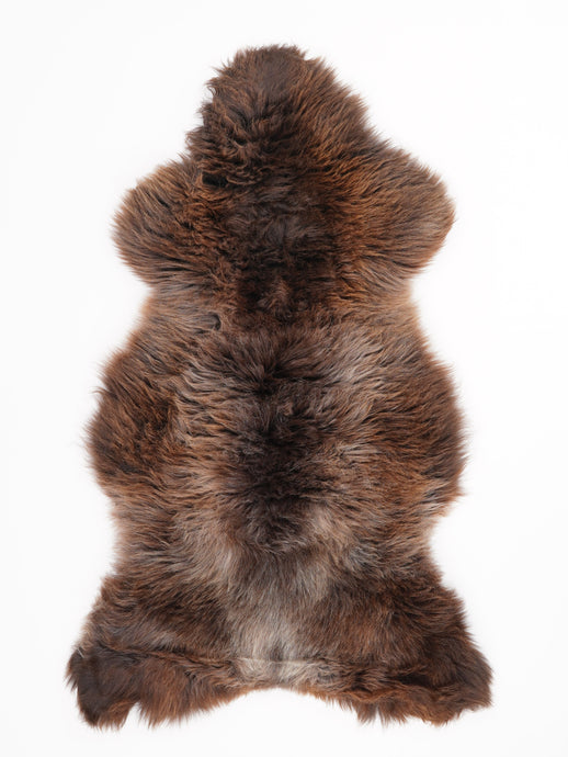 Įvairiaspalvis avikailis L