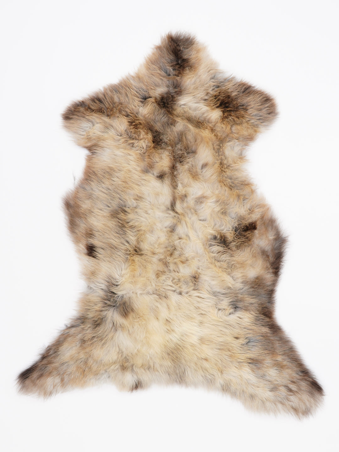 Įvairiaspalvis avikailis M