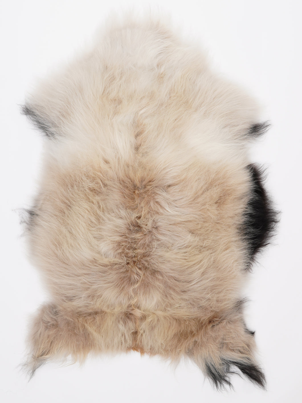 Islandiškas avikailis M