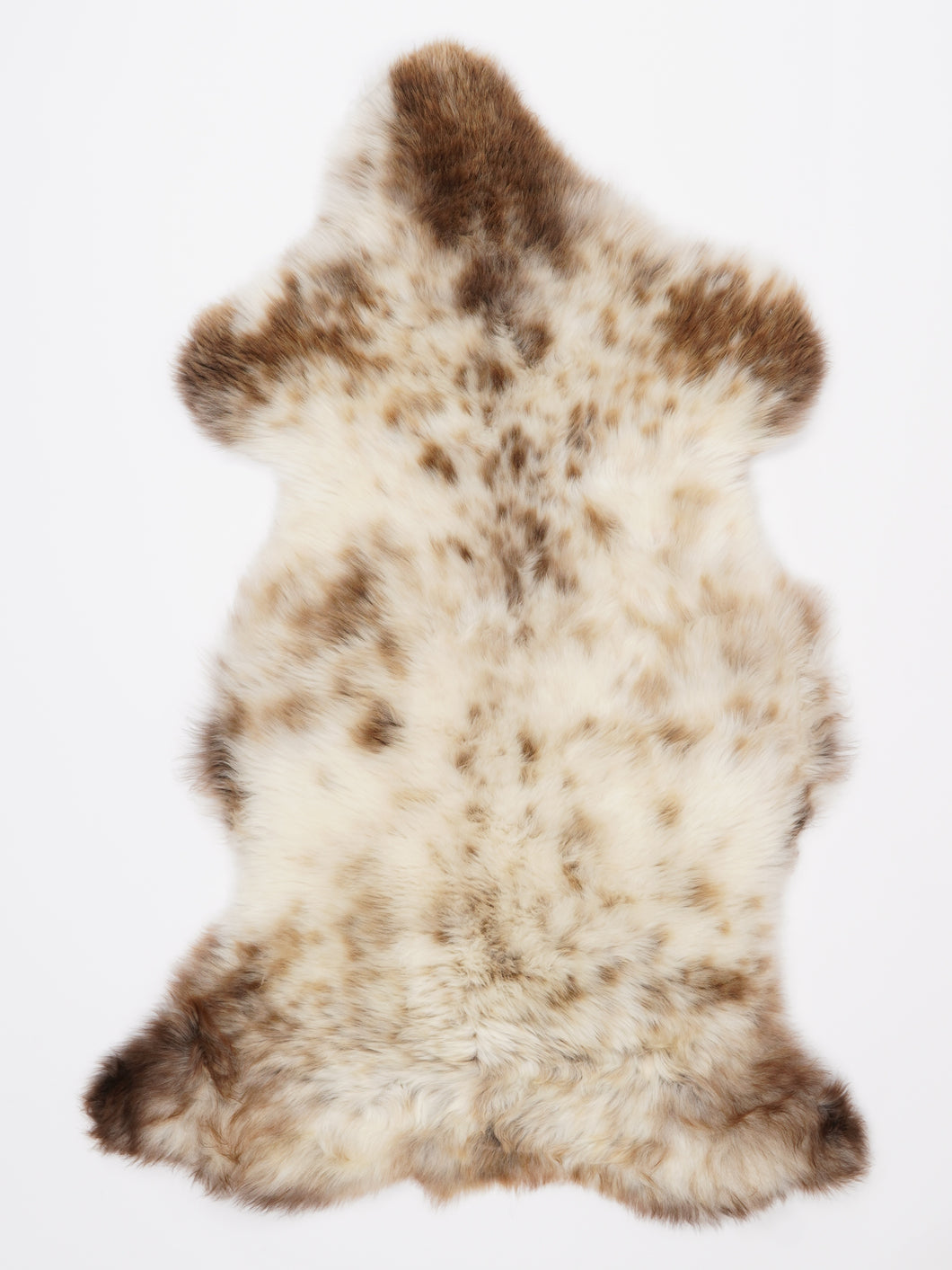 Įvairiaspalvis avikailis L