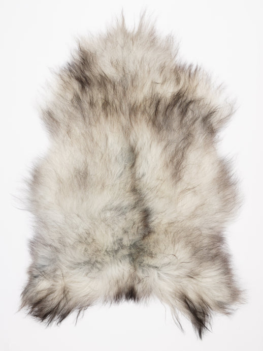 Pilkas islandiškas avikailis XL