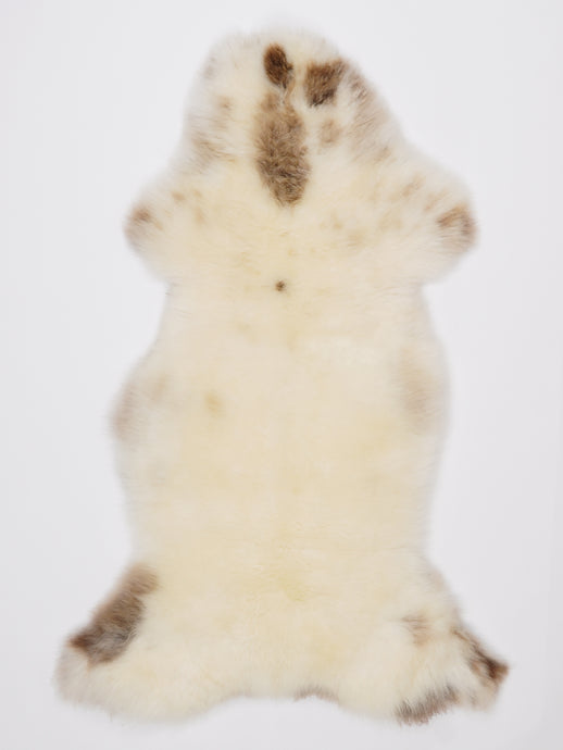 Įvairiaspalvis avikailis L