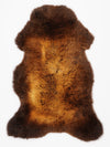 "Rusty" Daudzkrāsaina aitāda XL