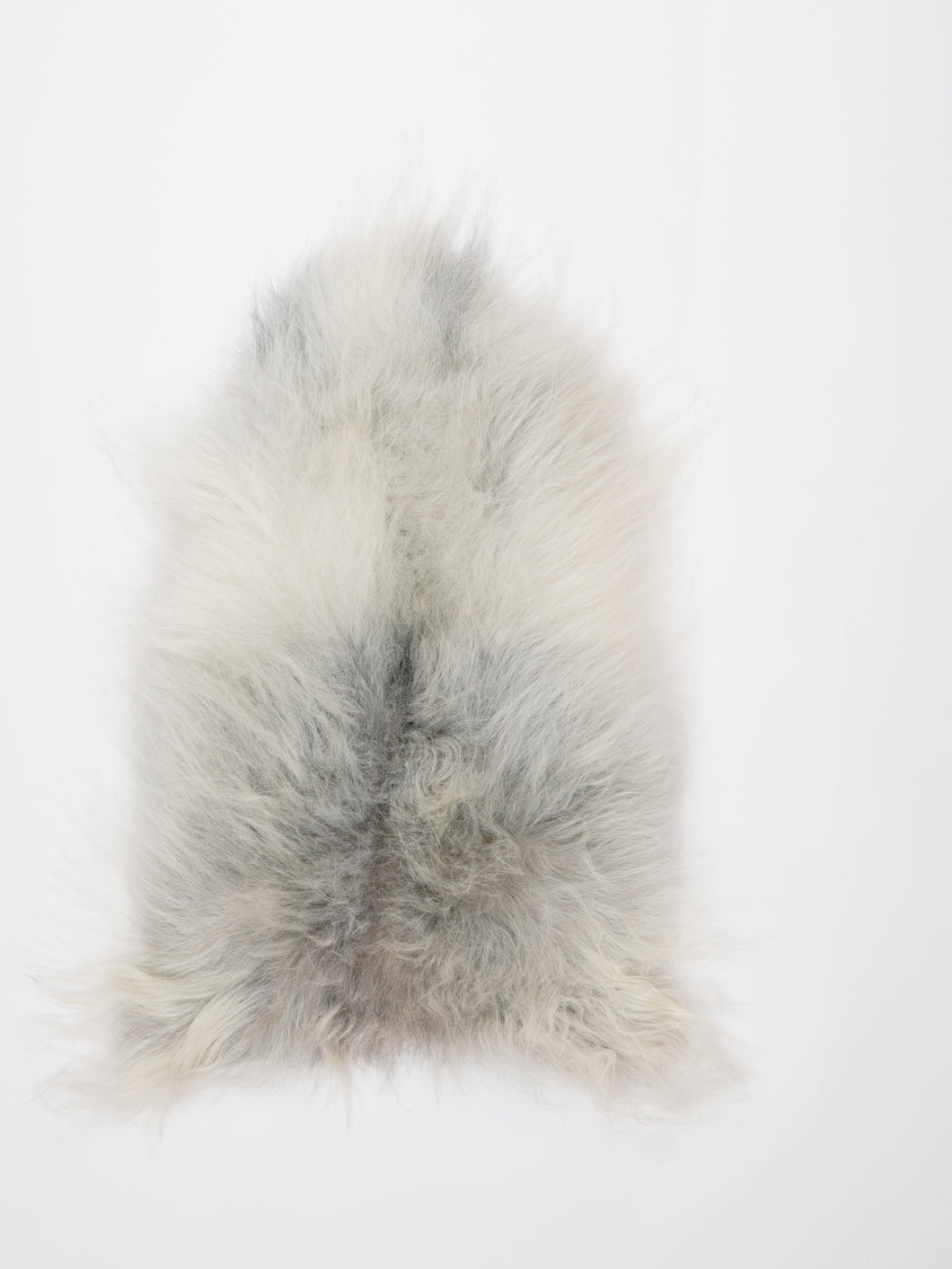 Islandiškas avikailis S