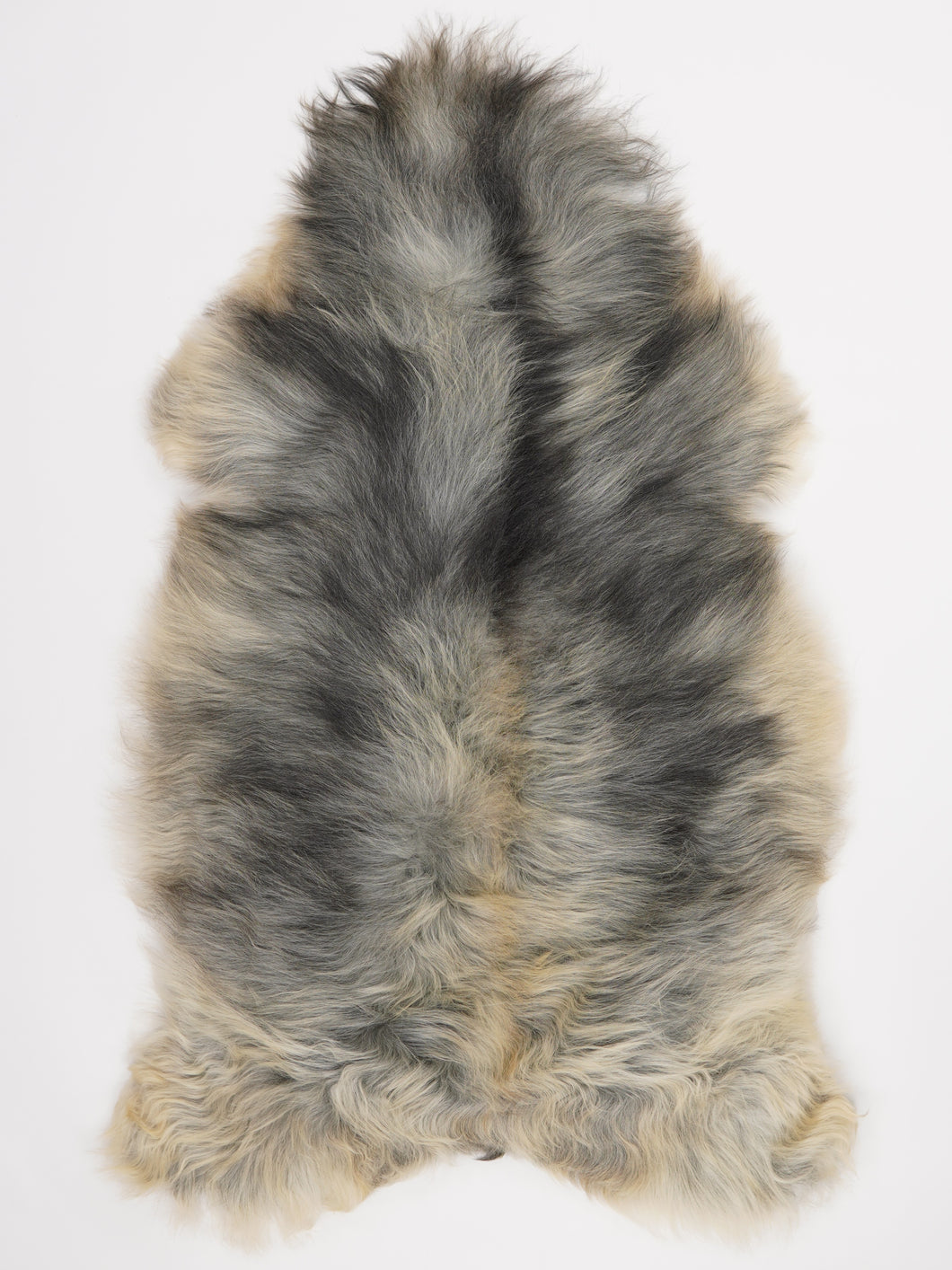 Pelēka Islandes aitāda XXL