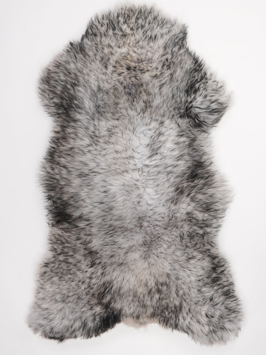 Muflona aitāda XL