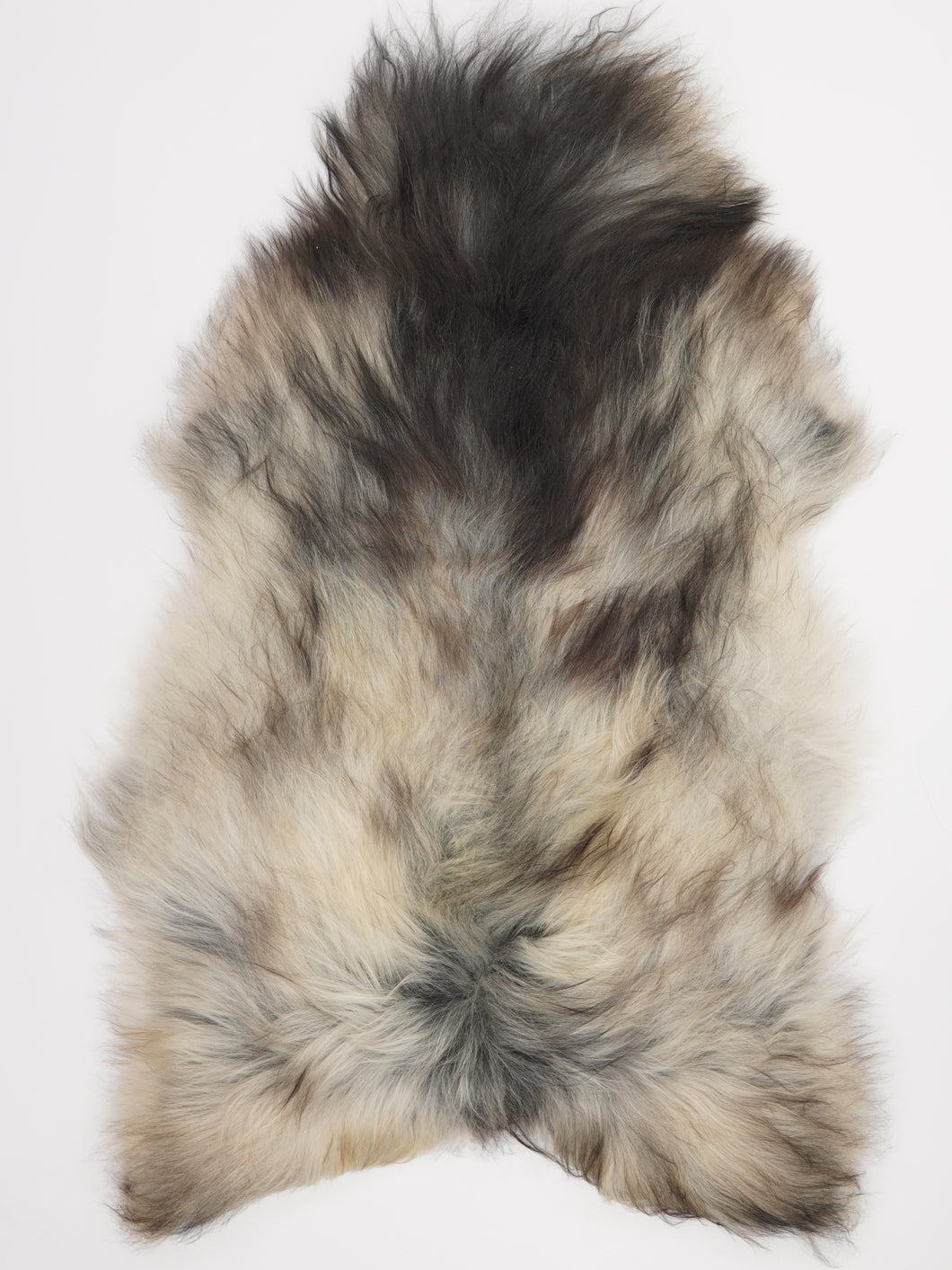 Pilkas islandiškas avikailis XXL