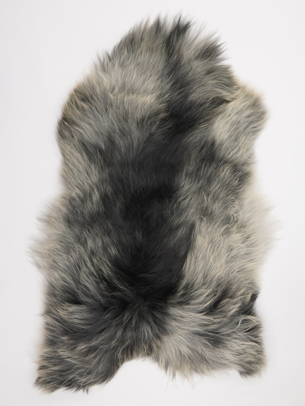 Pelēka Islandes aitāda XXL