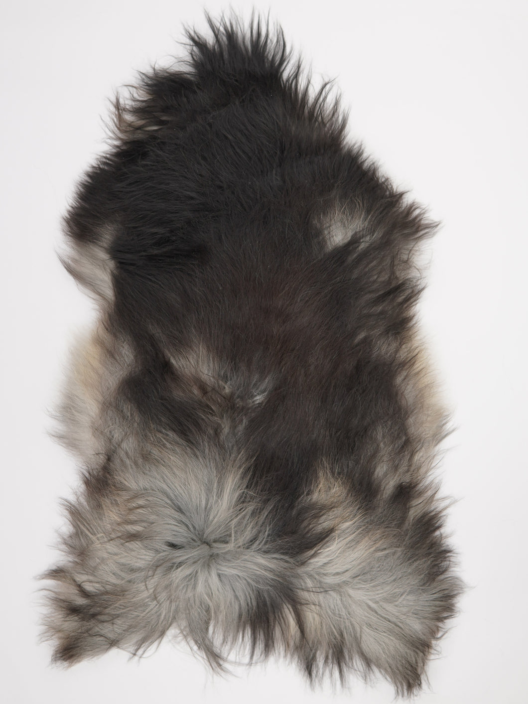 Pilkas islandiškas avikailis XXXL