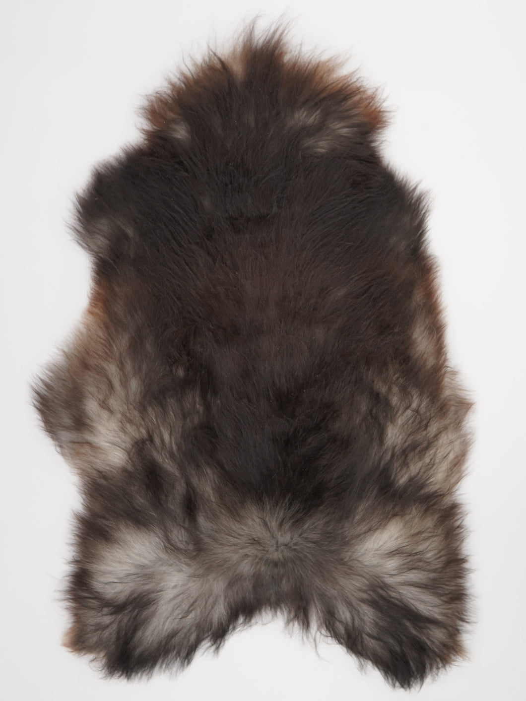 Pelēka Islandes aitāda XXL