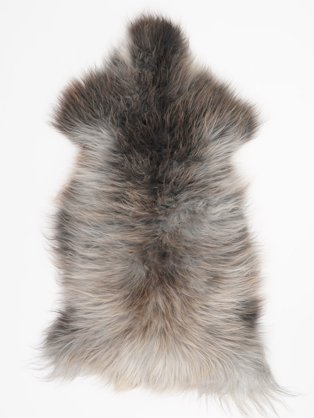 Įvairiaspalvis avikailis XL