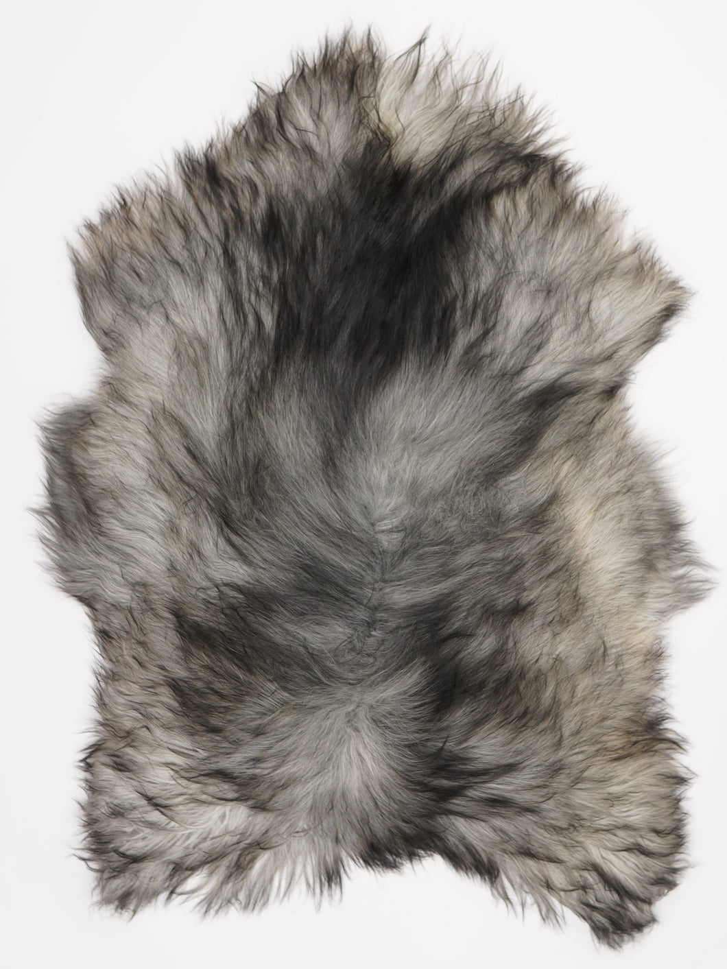 Pelēka Islandes aitāda XXL