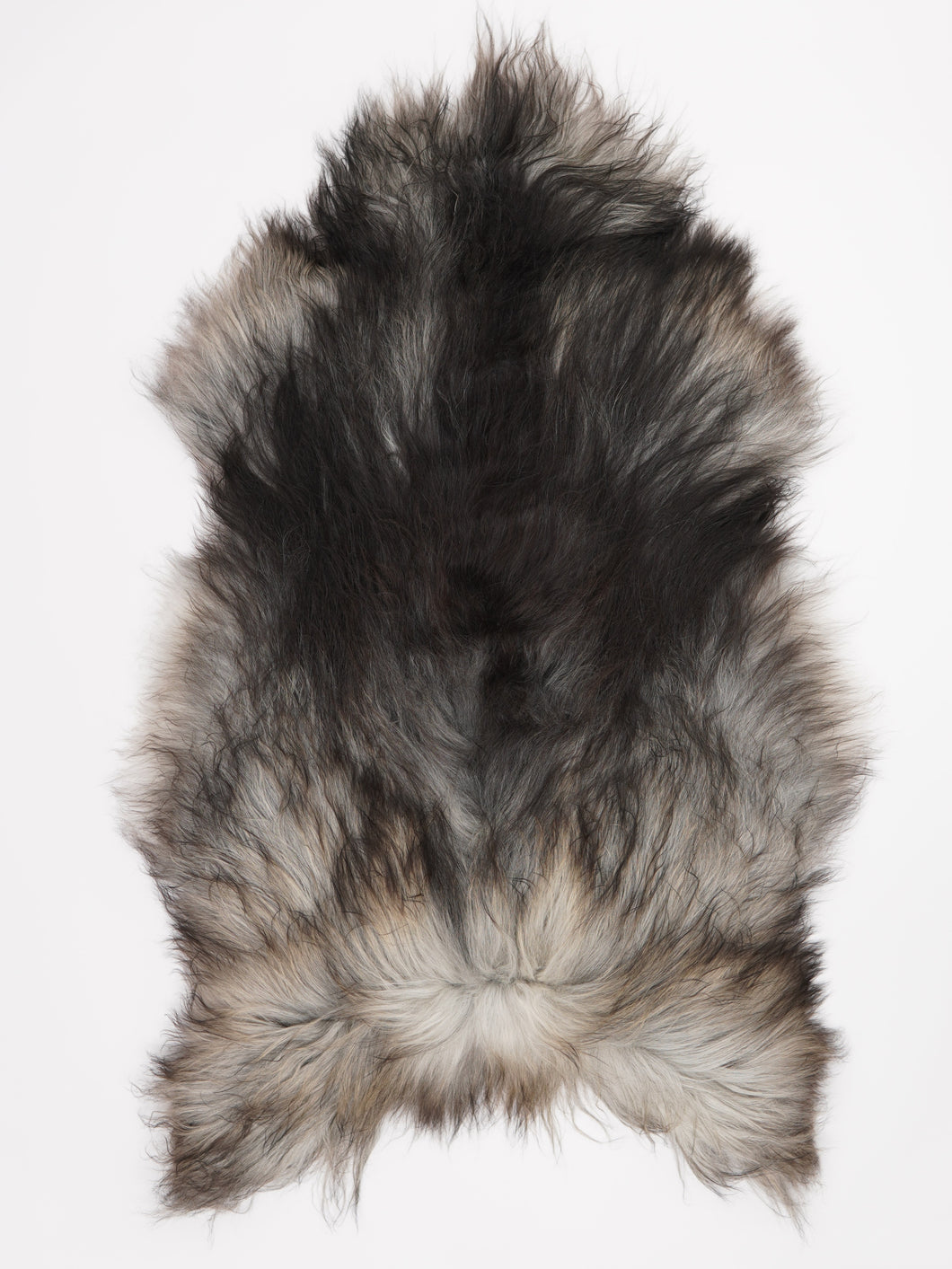 Pelēka Islandes aitāda XXXL