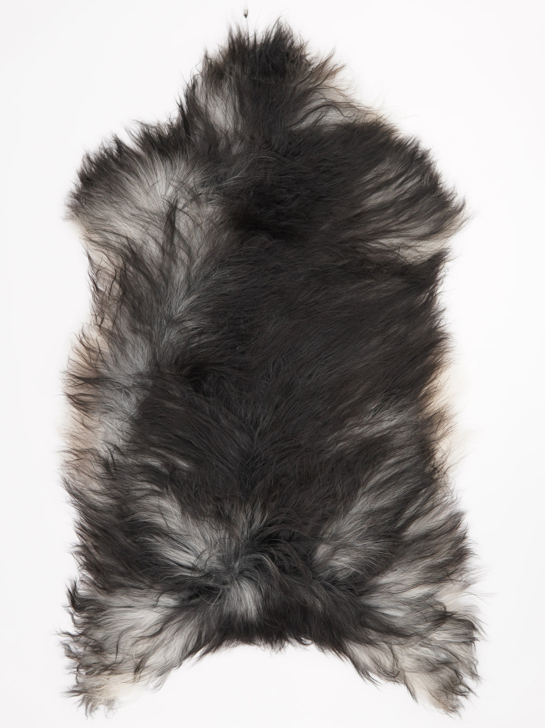 Pelēka Islandes aitāda XXXL